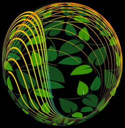 未来青训：生态系统构建助推足球强国梦，足球生态系统建设